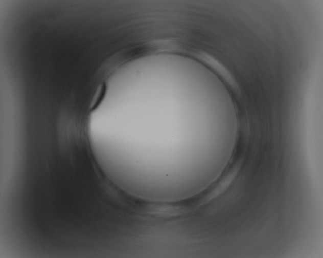 X0000100771289200807031203