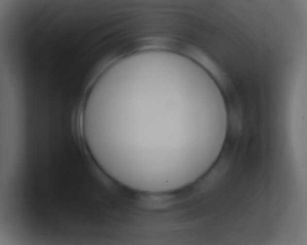 X0000100771290200807031203