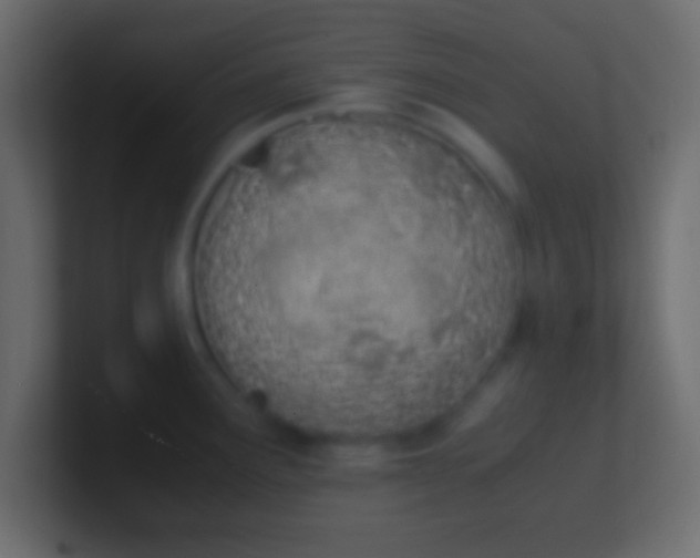 X0000100771291200807031203