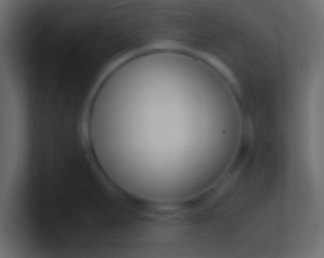 X0000100771295200807031202