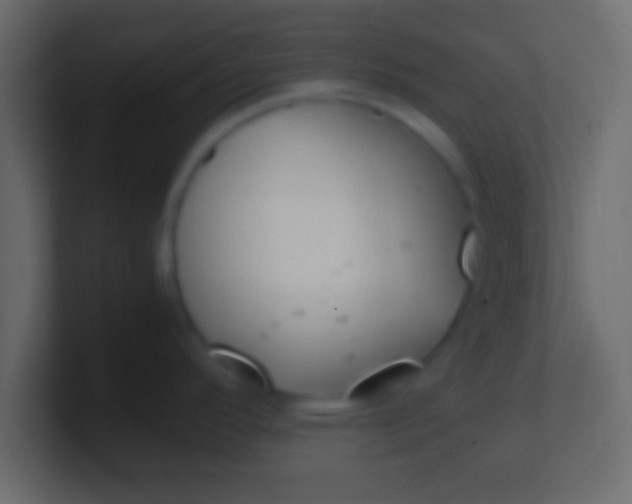 X0000100771296200807031202