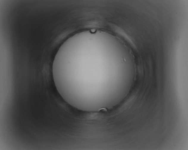 X0000100771304200807031202