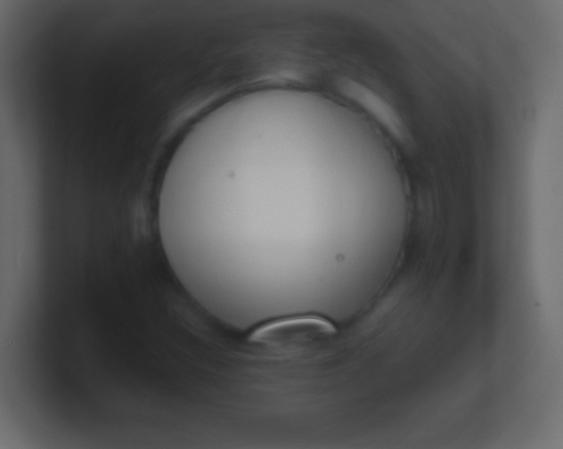 X0000100771308200807031202