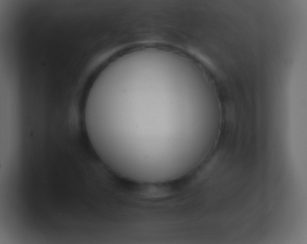 X0000100771311200807031202