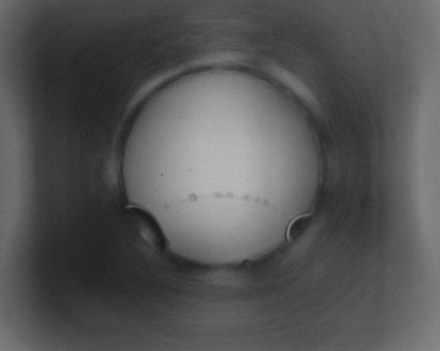 X0000100771316200807031202
