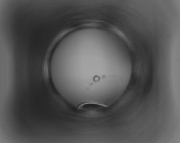 X0000100771323200807031202