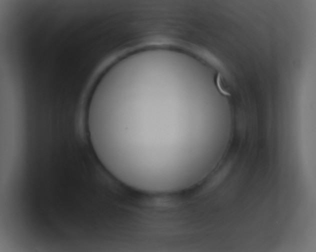 X0000100771326200807031202