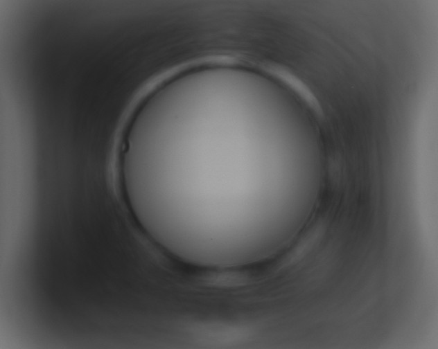 X0000100771327200807031202