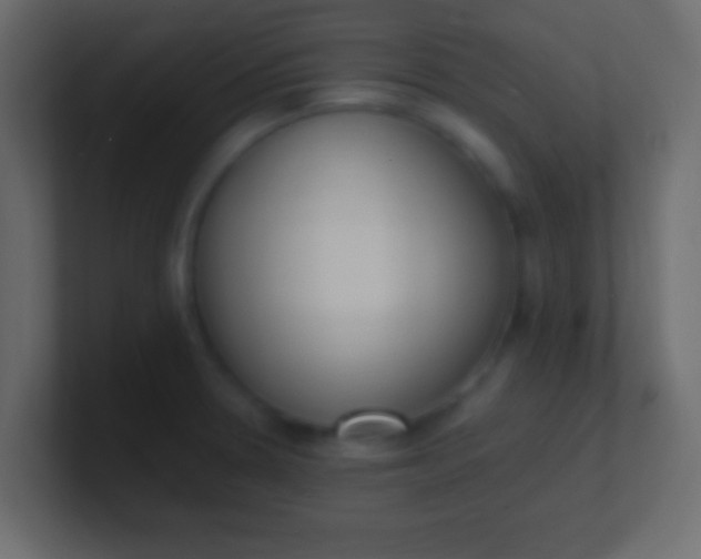 X0000100771330200807031202