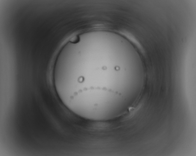 X0000100771333200807031202