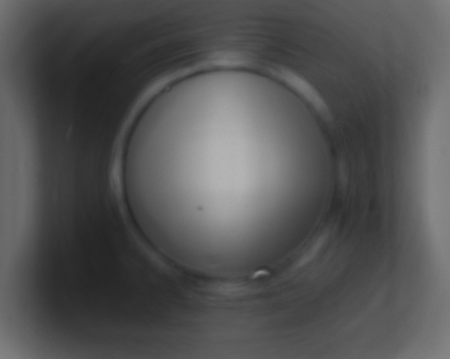 X0000100771334200807031202