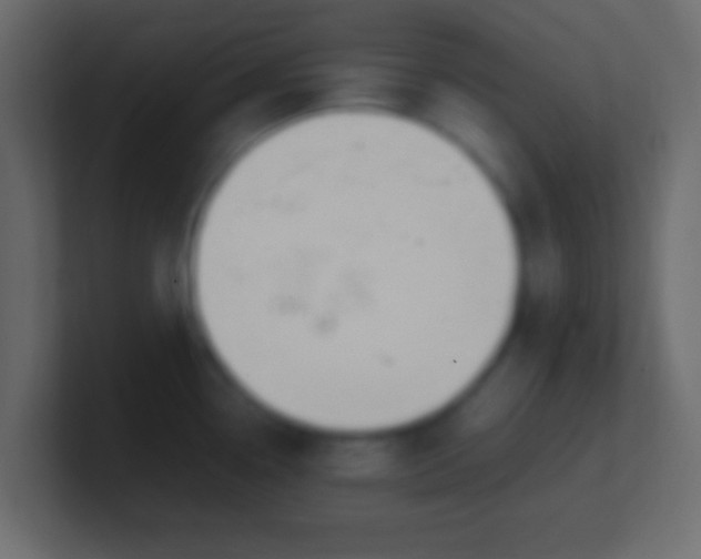 X0000100771338200807031202