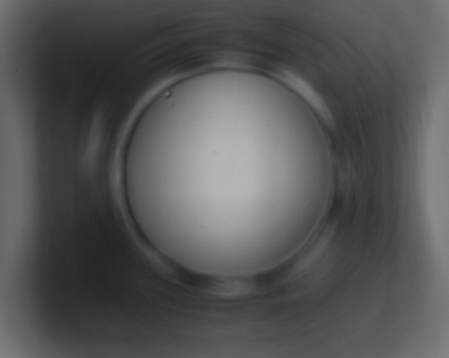 X0000100771339200807031202