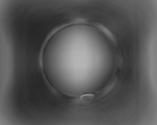 X0000100771342200807031202