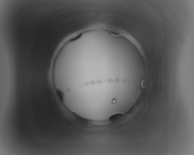 X0000100771344200807031202