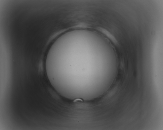 X0000100771356200807031202