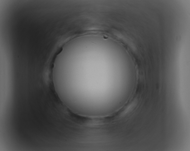X0000100771357200807031202
