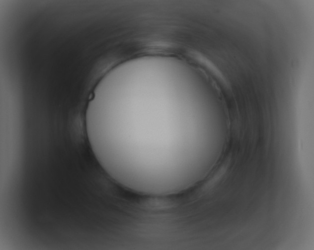 X0000100771362200807031202