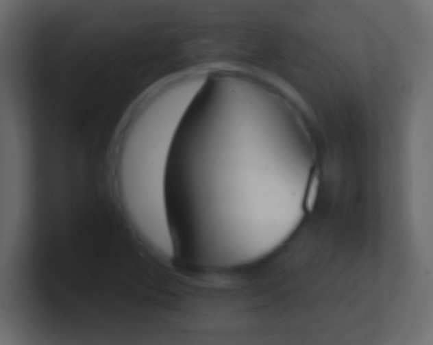 X0000100771364200807031202