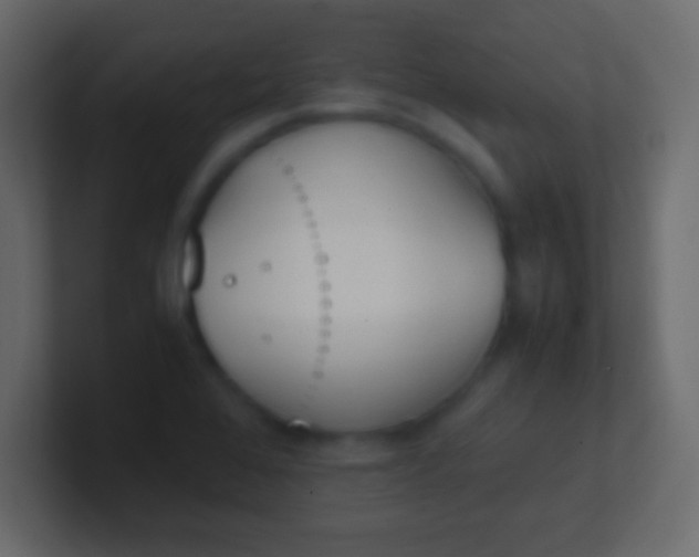 X0000100771368200807031201