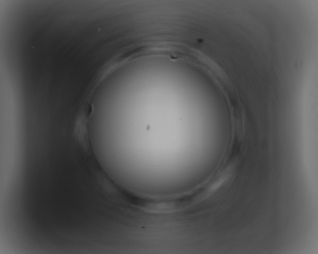 X0000100771369200807031201