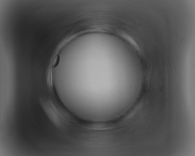 X0000100771371200807031201