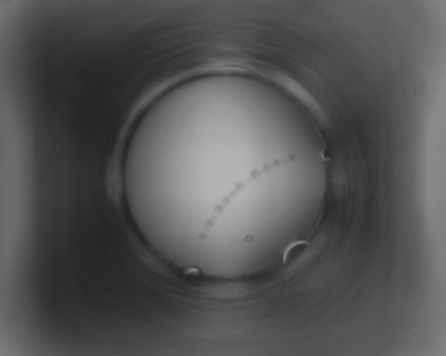 X0000100771372200807031201