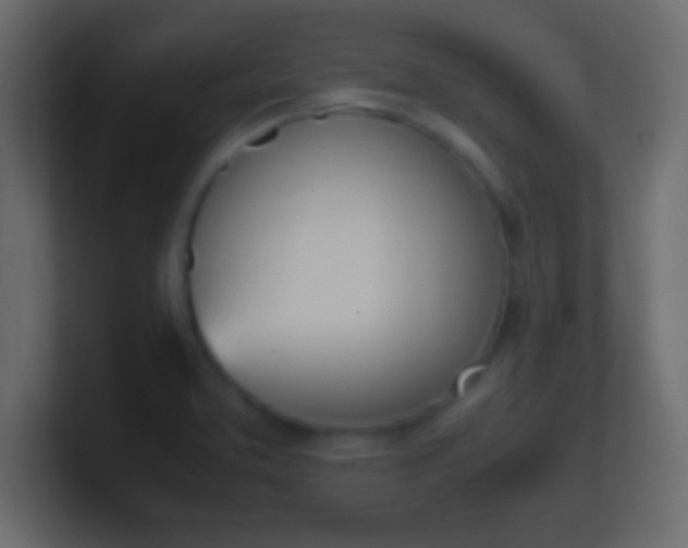 X0000100771373200807031201