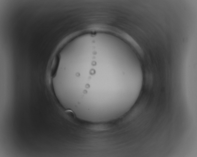 X0000100771376200807031201