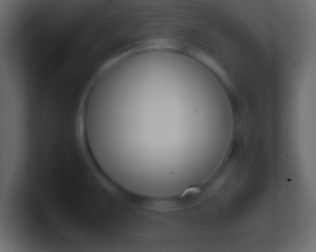 X0000100771383200807031201