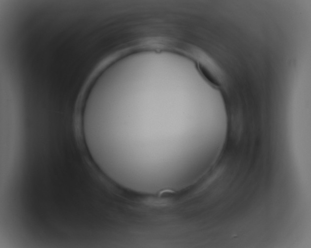X0000100771384200807031201