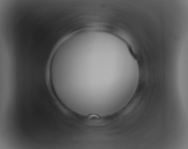 X0000100771387200807031201