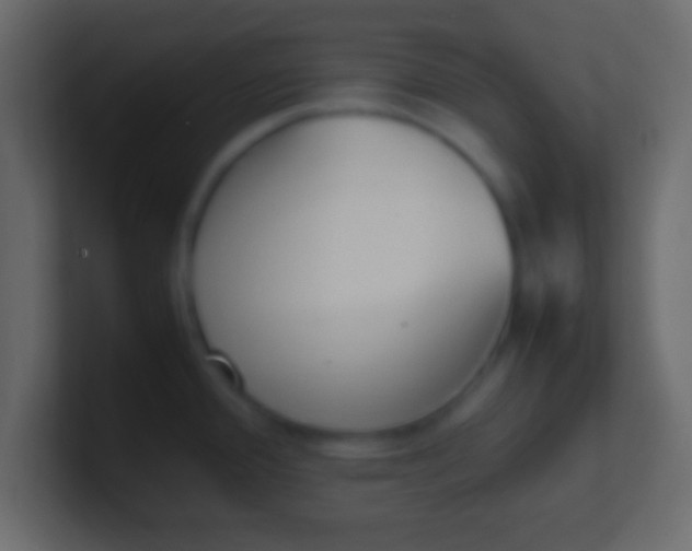 X0000100771388200807031201