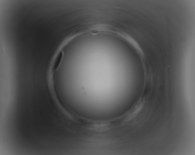 X0000100771389200807031201