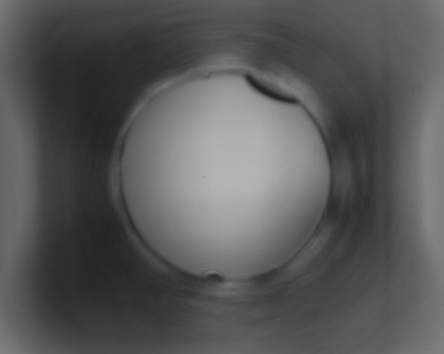 X0000100771390200807031201