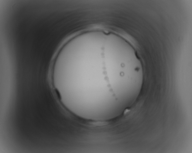 X0000100771392200807031201