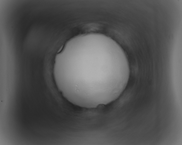X0000100771393200807031200
