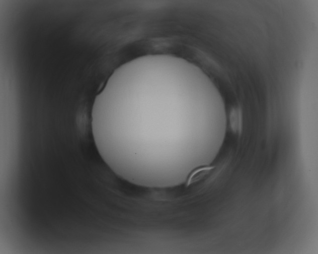 X0000100771395200807031201