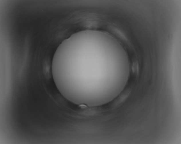X0000100771396200807031201