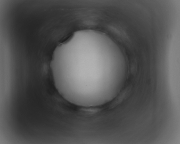 X0000100771397200807031201