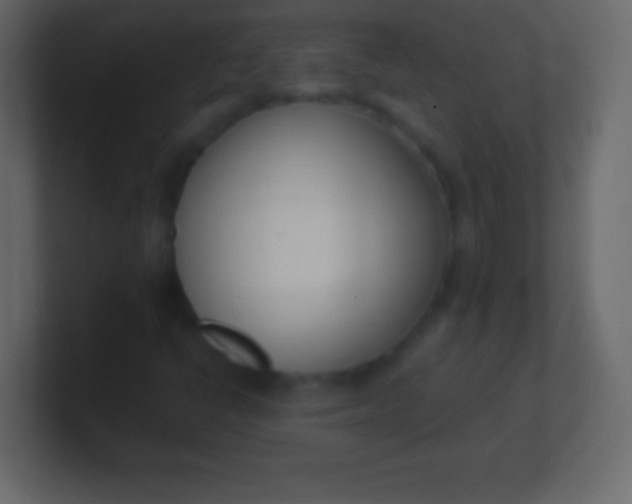 X0000100771398200807031201