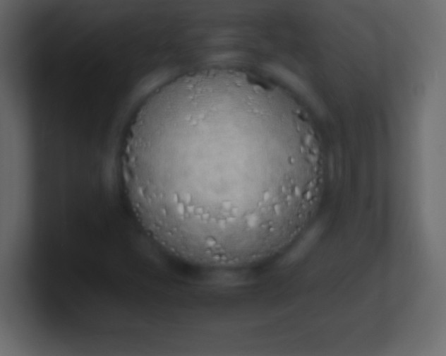 X0000100771405200807031201