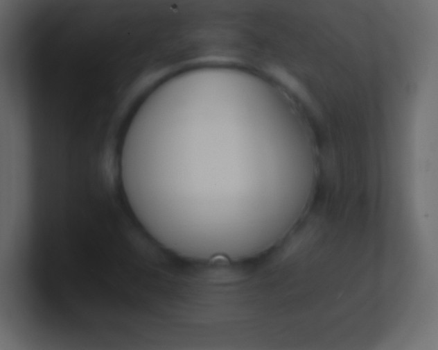 X0000100771408200807031201