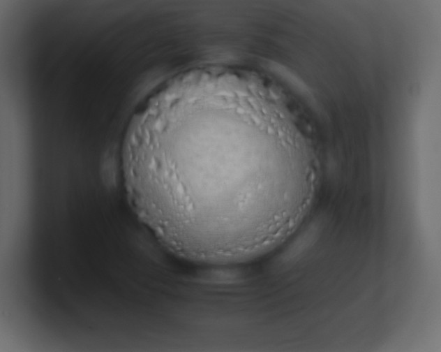 X0000100771409200807031201