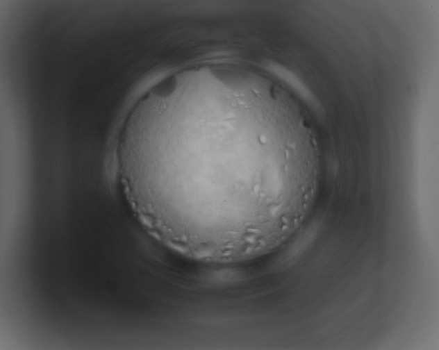 X0000100771413200807031201