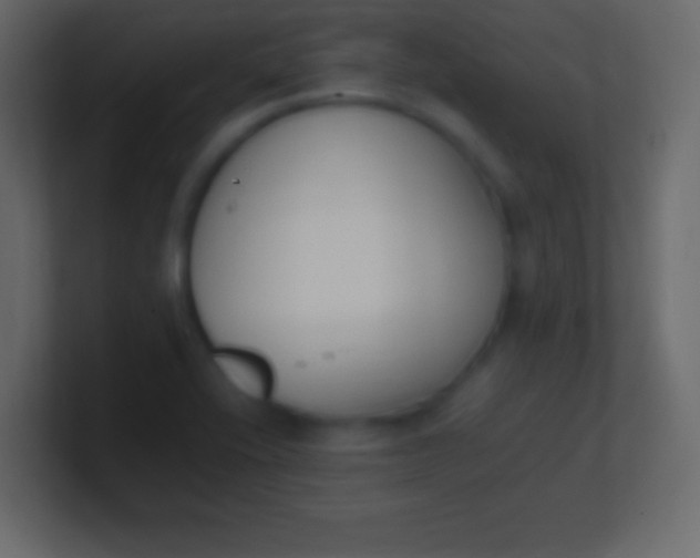X0000100771416200807031201