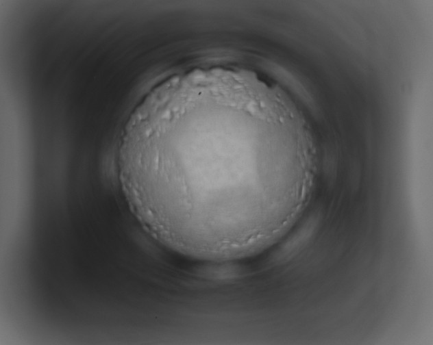 X0000100771417200807031201