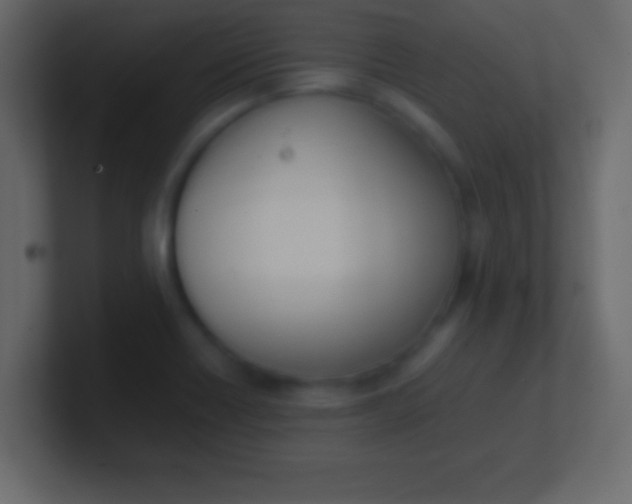 X0000100771418200807031201