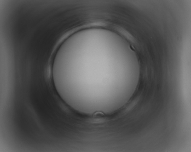 X0000100771420200807031201