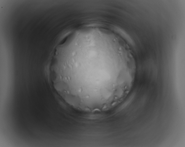 X0000100771425200807031201